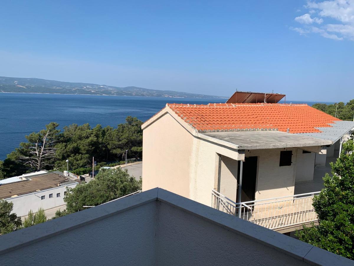 Villa Barbara 로크바 로고즈니차 외부 사진
